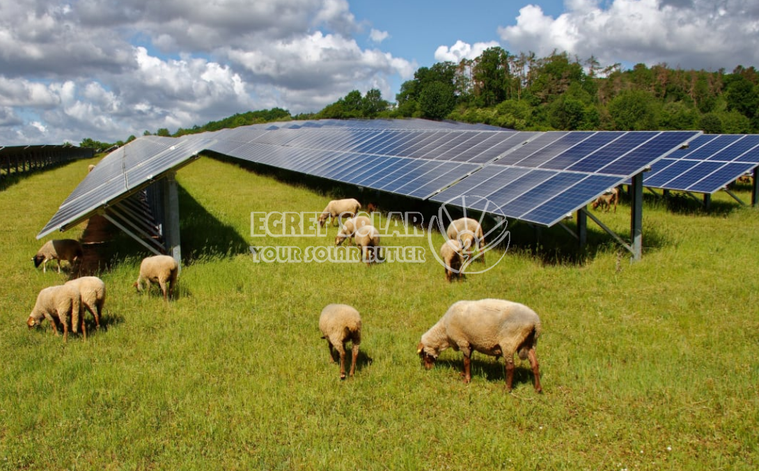 Strategická spolupráca medzi Egret Solar New Energy Technology a Smart Concept Energy