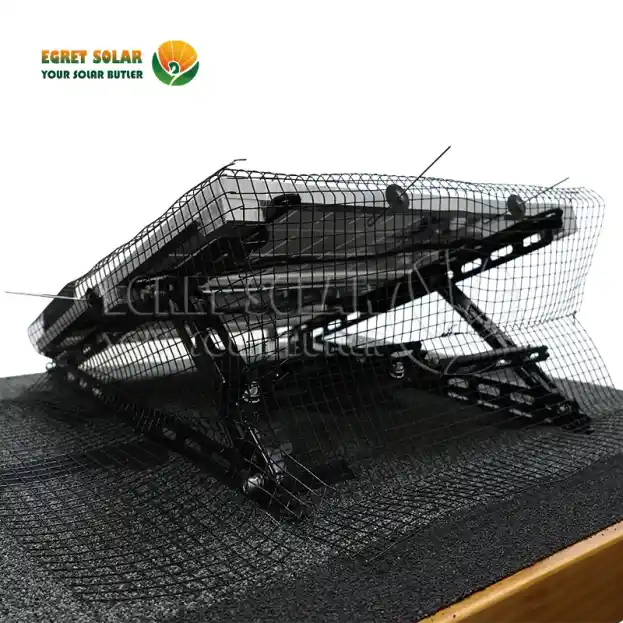 Prečo sú solárne siete pre vtáky kľúčovou obrannou líniou?